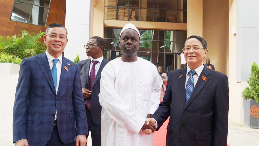 Phó Chủ tịch Quốc hội Nguyễn Đức Hải làm việc với Chủ tịch Tòa Thẩm kế Senegal