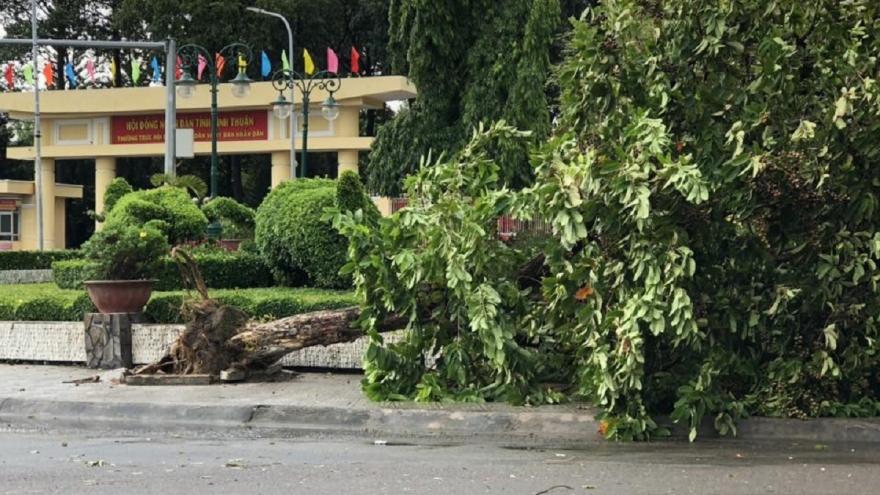 Mưa giông lớn gây thiệt hại nhiều nơi ở Lâm Đồng