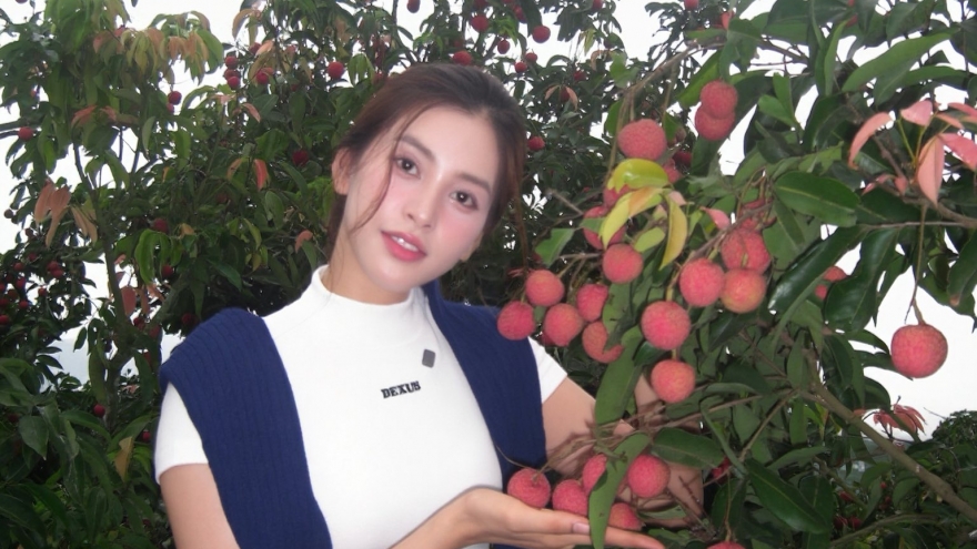 Sao Việt 4/7: Tiểu Vy hóa thân thành "hoa hậu vườn vải"