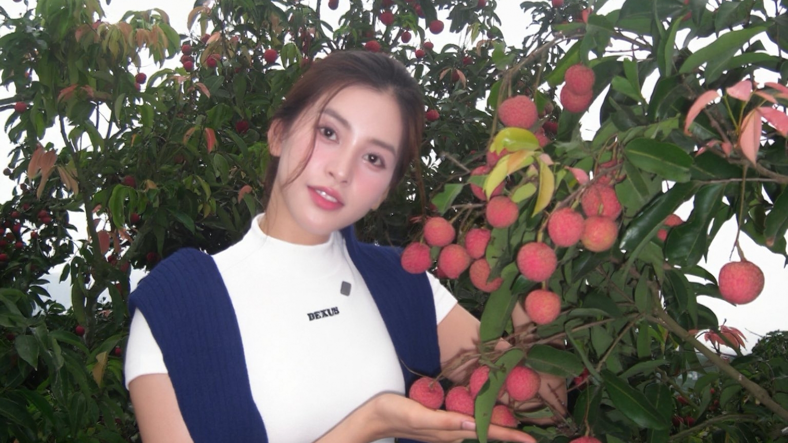 Sao Việt 4/7: Tiểu Vy hóa thân thành "hoa hậu vườn vải"