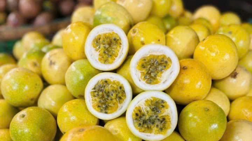 Chị em lùng mua loại chanh lạ, ngọt thanh, thơm mùi ổi chín