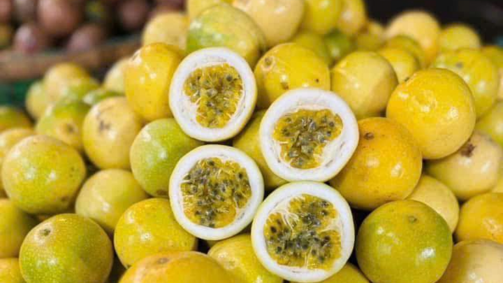 Chị em lùng mua loại chanh lạ, ngọt thanh, thơm mùi ổi chín