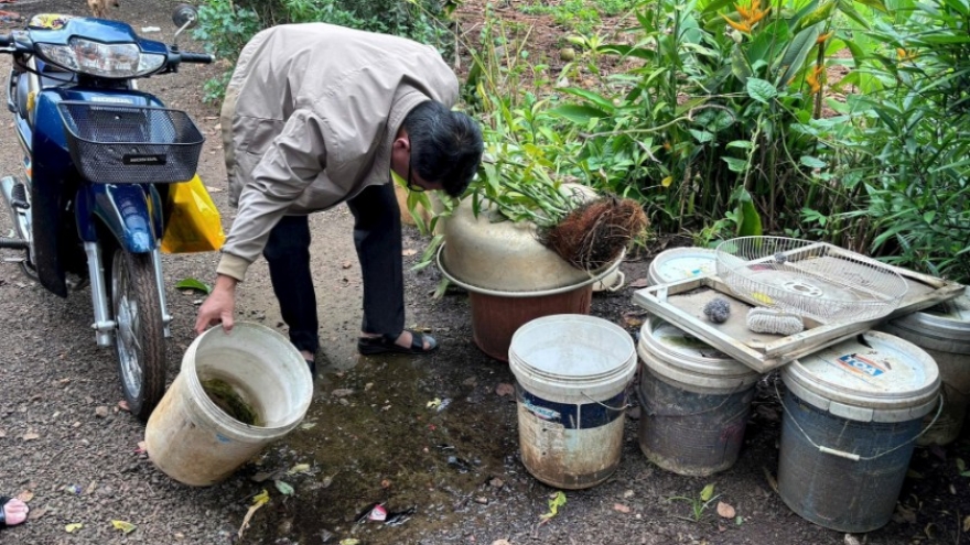 Dak Lak reports first fatal case of dengue this year