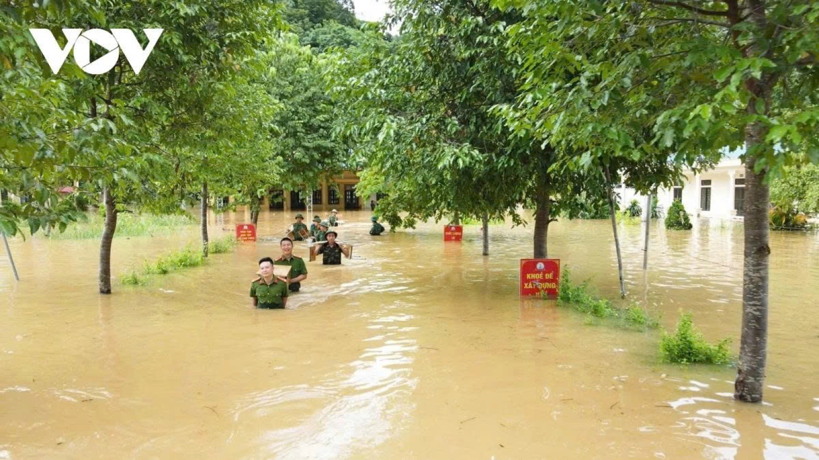 WHO supports Nghe An in post-flood disease prevention efforts