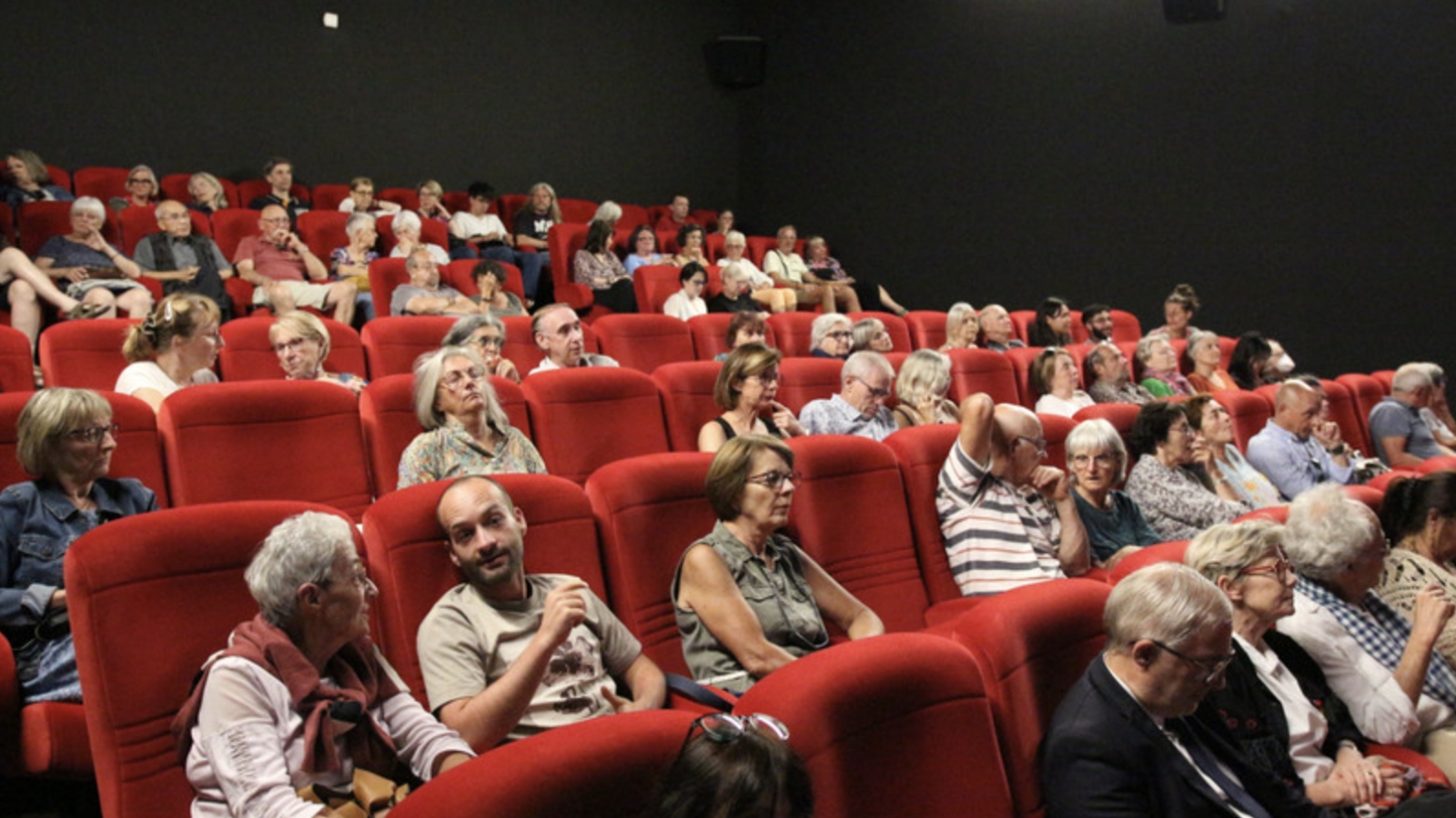 Documentary on Vietnamese craft villages draws French audiences