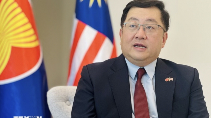 Vietnam stands at core of evolving ASEAN: Malaysian Ambassador