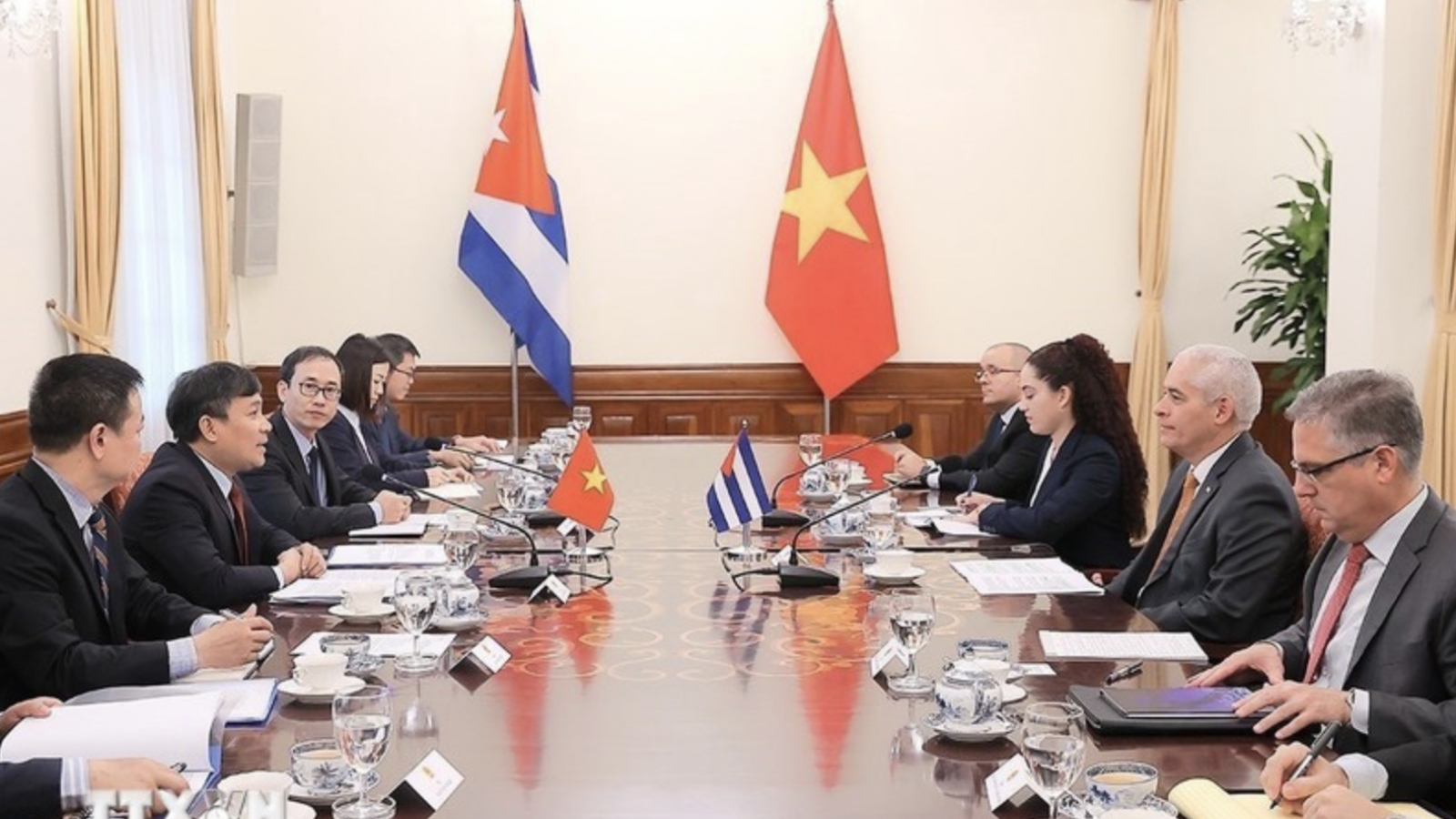 Vietnam–Cuba timeless bond looks towards sustainable future