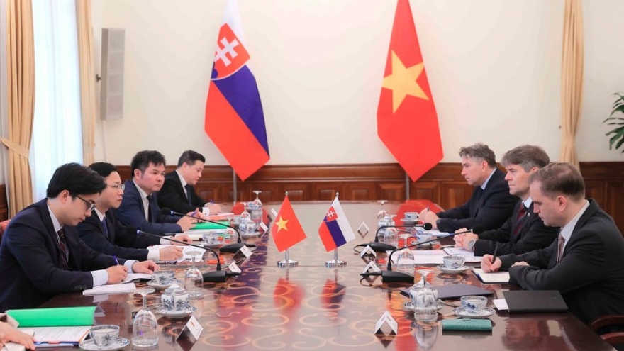 Vietnam, Slovakia hold political consultation