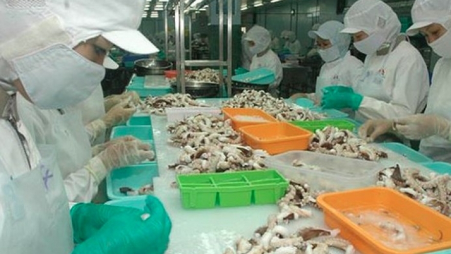 Squid and octopus exports likely to surpass US$700 million in 2025