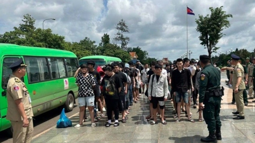 85 Vietnamese citizens repatriated from Cambodia