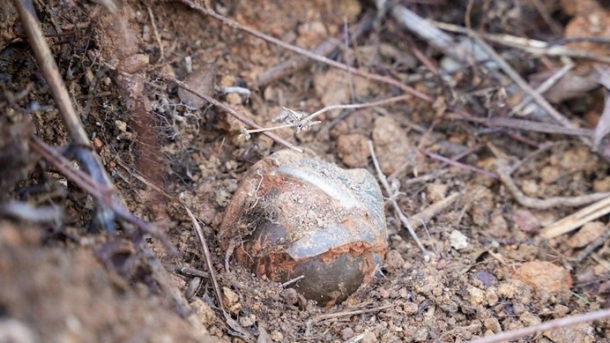 Three cluster bombs safely detonated in Quang Tri