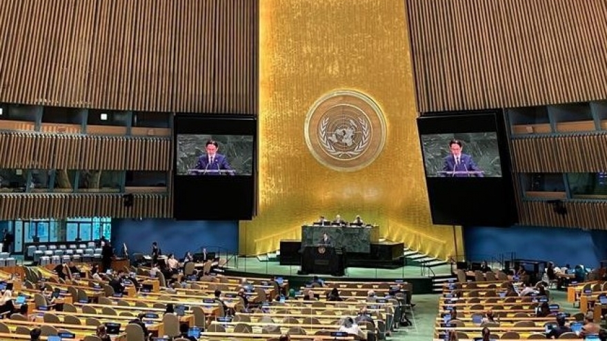 Vietnam committed to contributing to two-state solution implementation