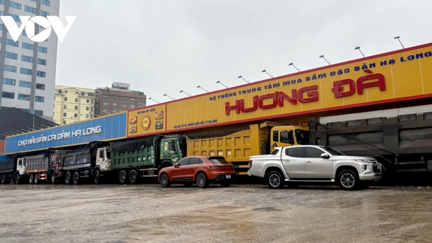 Dựng container, đỗ xe tải, xếp gạch để phòng bão số 3 ở Quảng Ninh