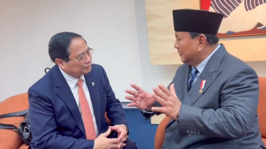 PM meets with Indonesian President on BRICS Summit sidelines