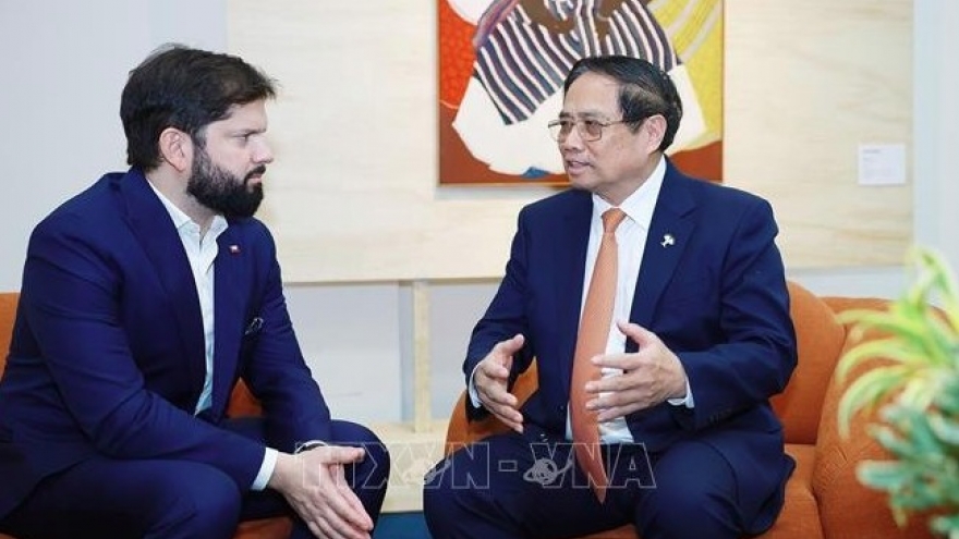 Vietnam promotes multifaceted cooperation with Chile
