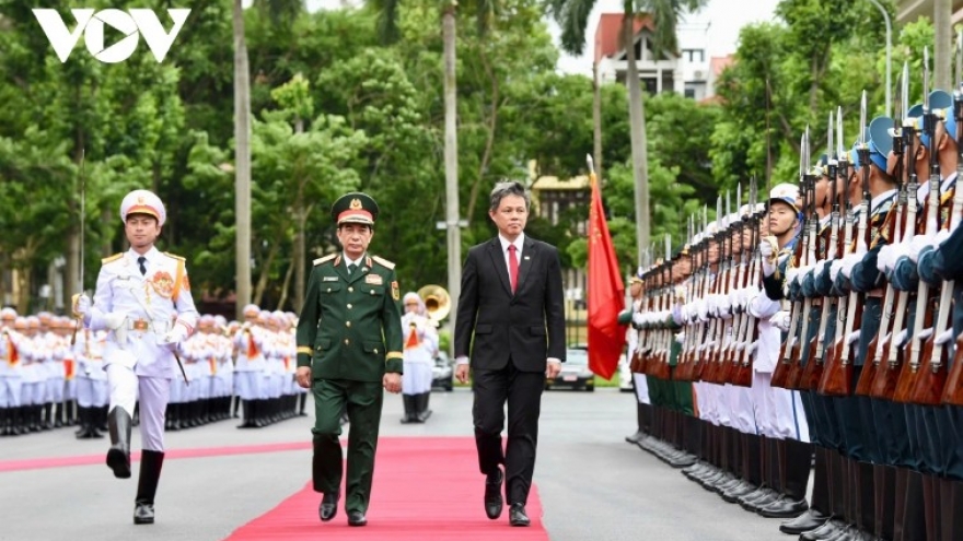 Vietnam, Singapore strengthen defence ties following upgrade to strategic partnership