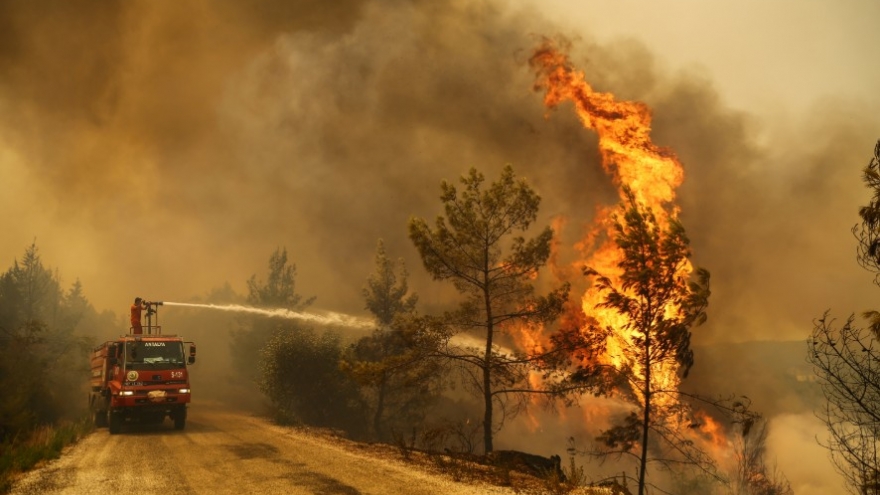 10 lính cứu hỏa Thổ Nhĩ Kỳ thiệt mạng vì cháy rừng