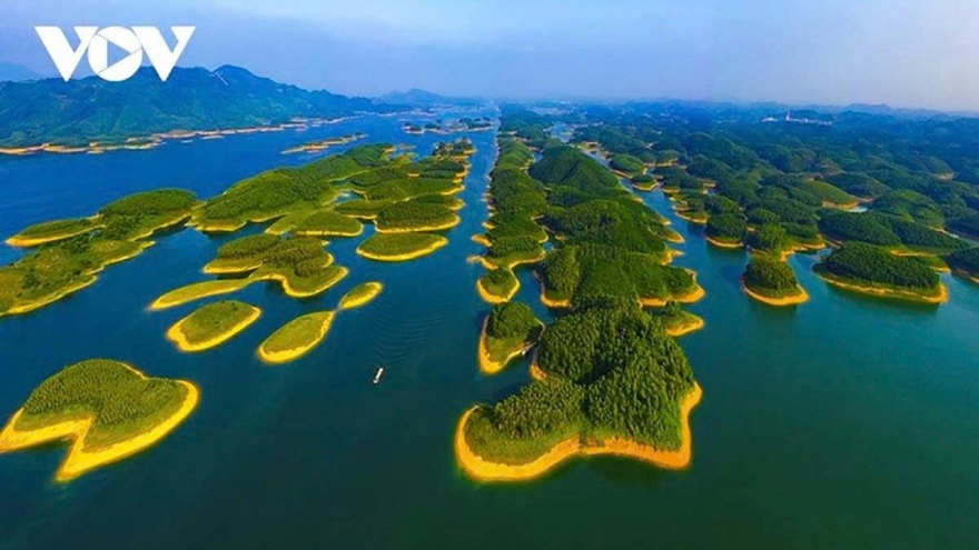 Complete legal framework needed to develop carbon market in Vietnam