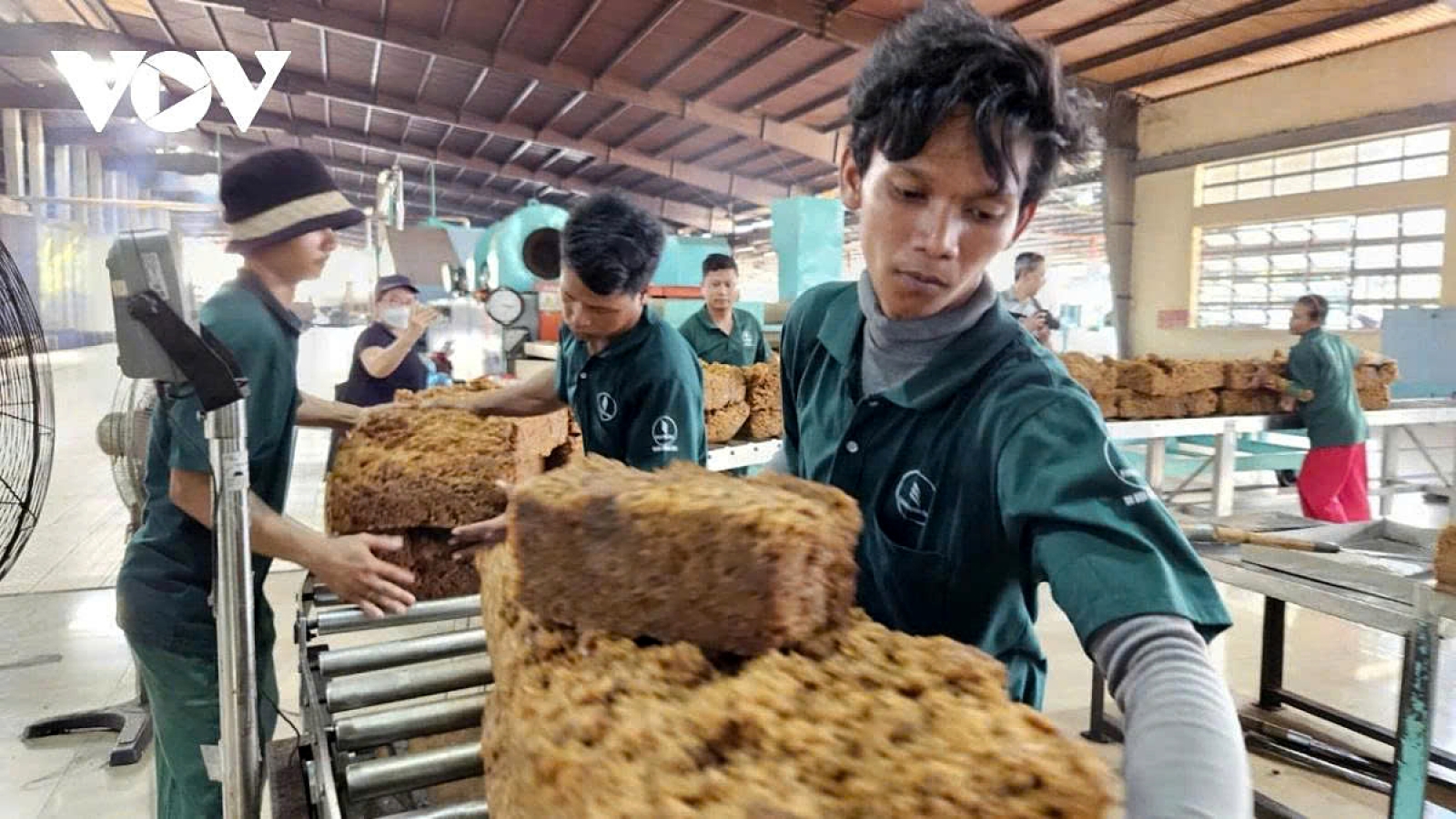 HCM City to host Vietnam - Cambodia business networking conference in mid-July