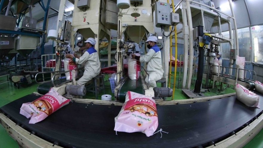 Vietnamese eyes Africa as next export frontier amidst risks in traditional markets