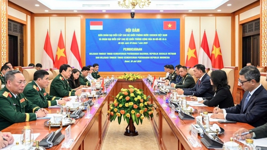 Vietnam, Indonesia reinforce defence ties following strategic partnership upgrade