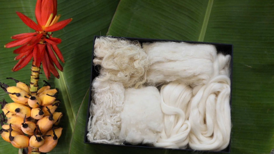 “Bảo vệ môi trường mới là mục tiêu của tôi”