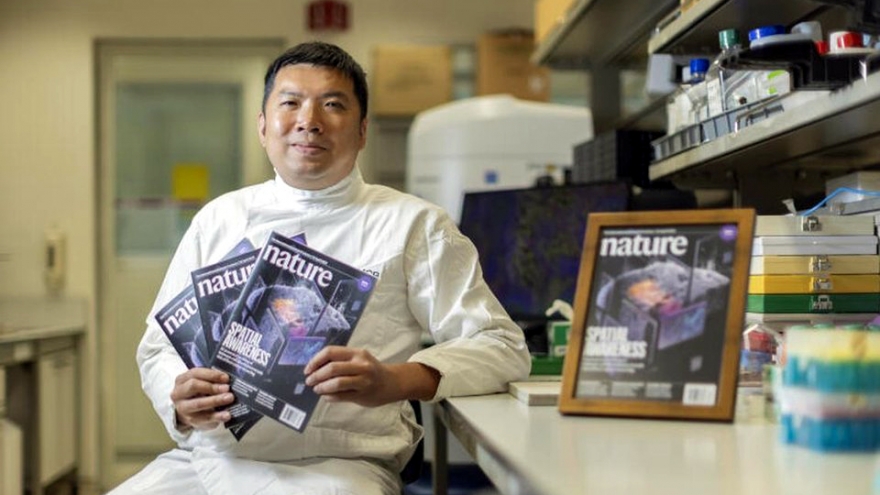 Hệ thống AI chẩn đoán chính xác hơn 80% nguy cơ tái phát ung thư gan