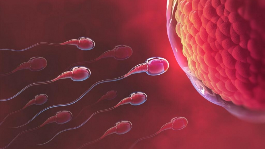 Tôi lấy vợ kém 12 tuổi nhưng hơn 8 năm nay chúng tôi vẫn chưa có con