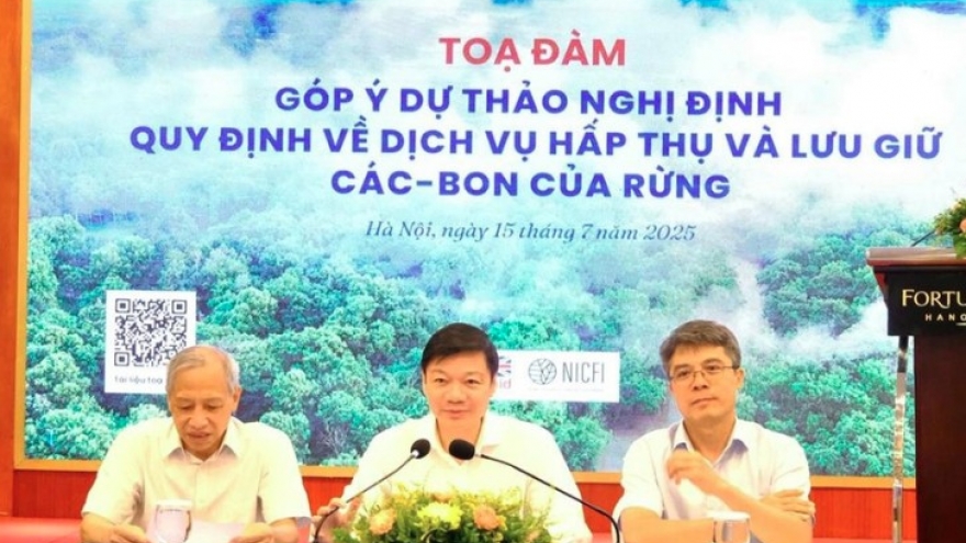 Vietnam completes legal framework for forest carbon market