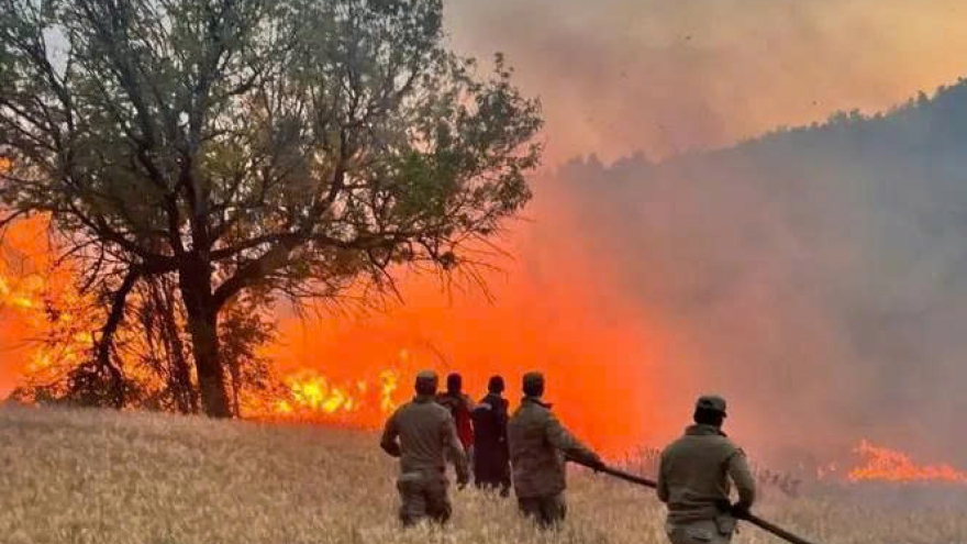 Cháy rừng dữ dội tại Thổ Nhĩ Kỳ