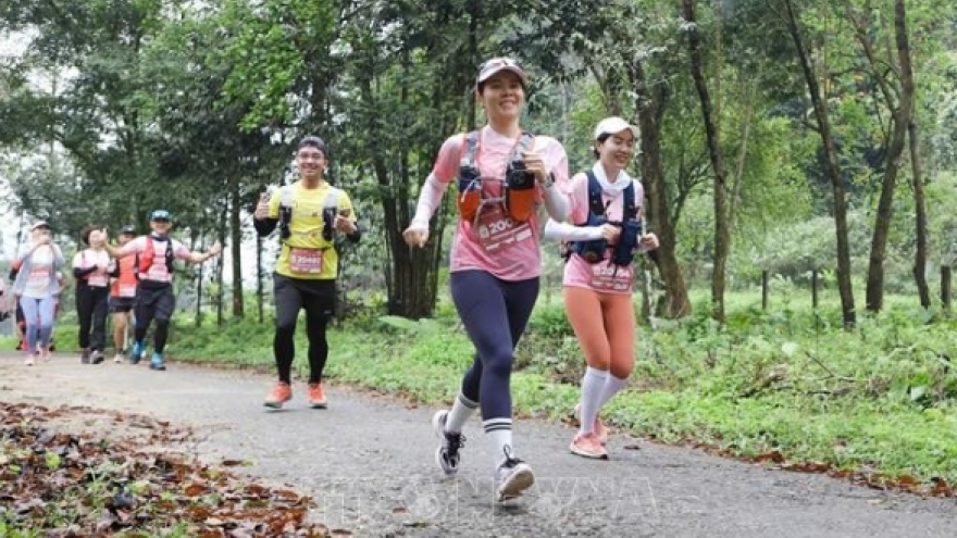 Ninh Binh province taps marathons to boost tourism appeal
