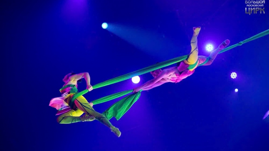 Vietnamese circus triumphs at two international festivals