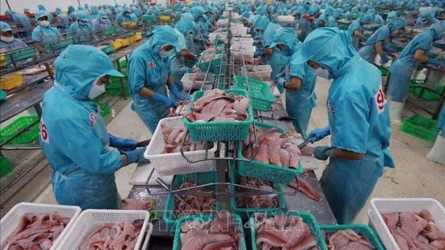 Fisheries sector speeds up to earn US$5.4 billion in H2