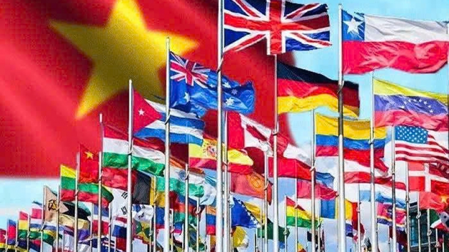 Vietnam needs more strategic, beneficial, resilient integration: Indian Professor