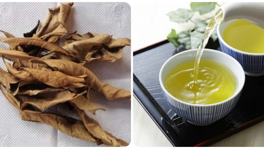 Ai nên uống nước lá vối thường xuyên?