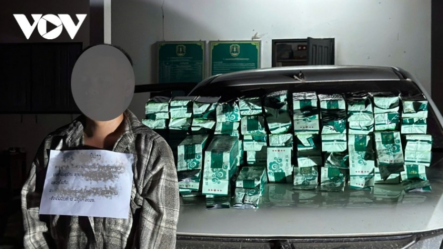 Cross-border drug rings busted, nearly 2.5 tonnes of narcotics seized