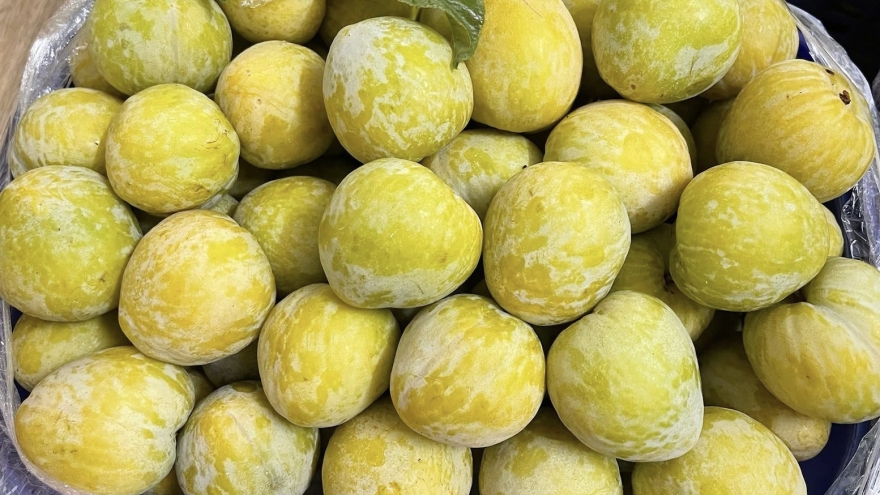 Mận cau Trung Quốc “cháy hàng” dù giá gần nửa triệu đồng/kg