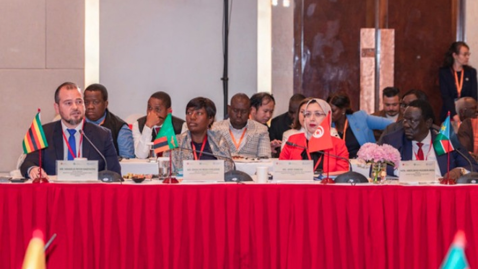 Vietnam shares OCOP development experience with African countries