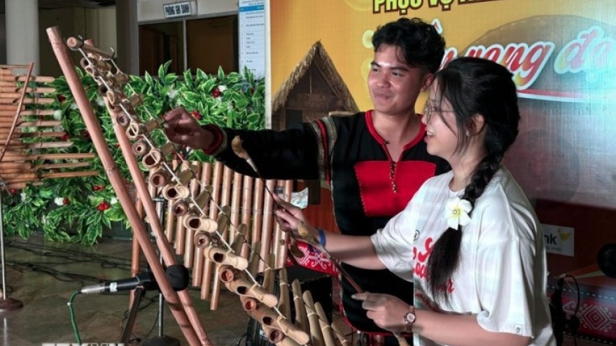 Young OVs explore homeland’s gong culture