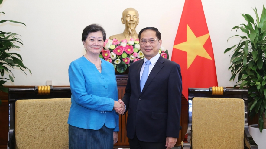 Phó Thủ tướng, Bộ trưởng Ngoại giao Bùi Thanh Sơn tiếp Đại sứ Campuchia