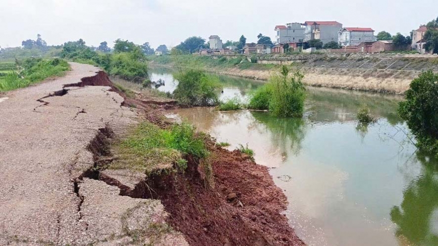 Chủ tịch tỉnh Bắc Ninh chỉ đạo tập trung đảm bảo hệ thống đê điều trong mùa mưa lũ