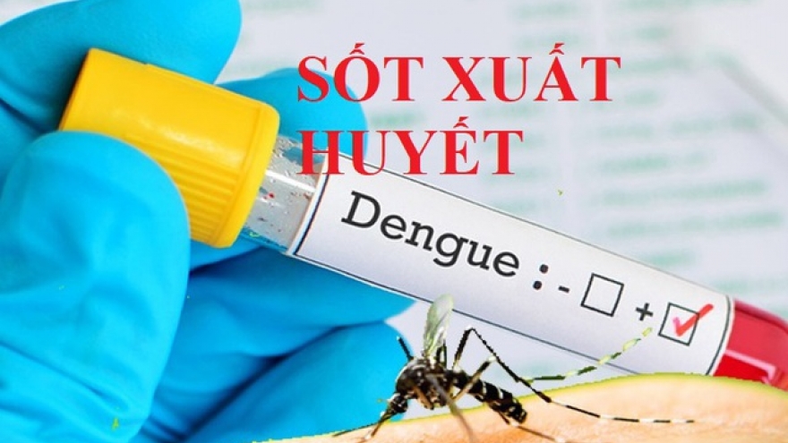 Thủ tướng yêu cầu tăng cường phòng, chống bệnh sốt xuất huyết