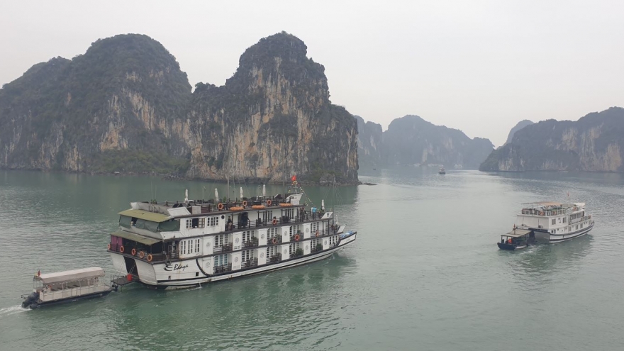 Tạm dừng cấp phép tàu chở khách ra Vịnh Hạ Long