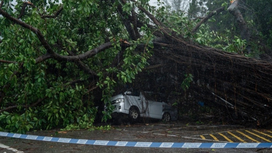 Bão Wipha đổ bộ vào Hong Kong (Trung Quốc), gió giật hơn 167 km/h