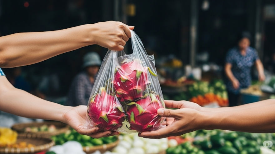 Hơn 2 năm đếm ngược, Hà Nội sẽ làm gì để bỏ túi ni lon?