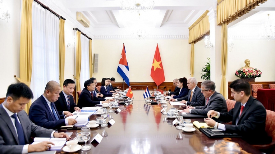 Vietnam, Cuba commit to stronger ties during eighth political consultation