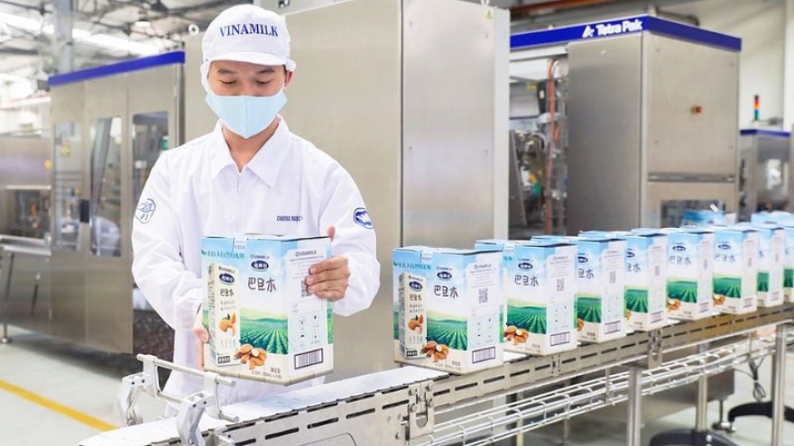 Private enterprises – driving force elevating Vietnam’s brands on global stage