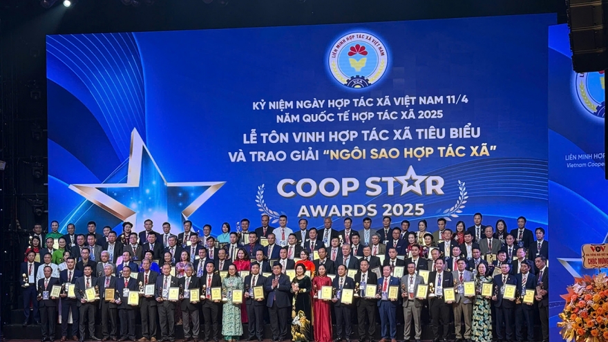 Kinh tế hợp tác xã đóng góp khoảng 5% GDP