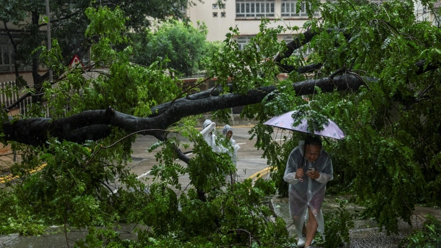 Cảnh tan hoang ở các khu vực bão Wipha quét qua
