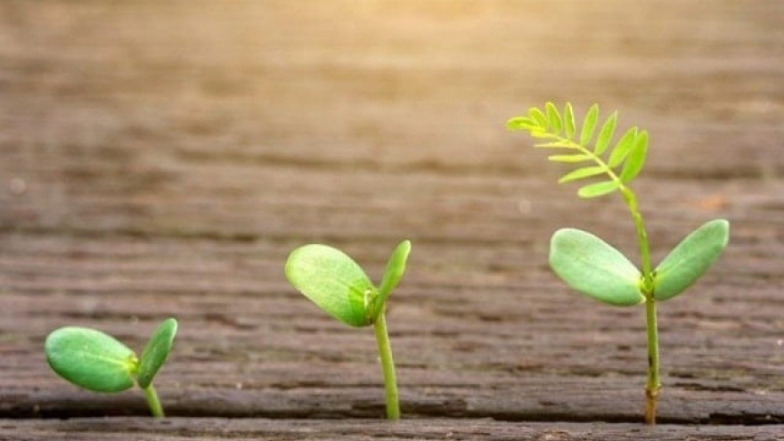 Phản tỉnh mất kết nối "Hàng xóm" thời hiện đại